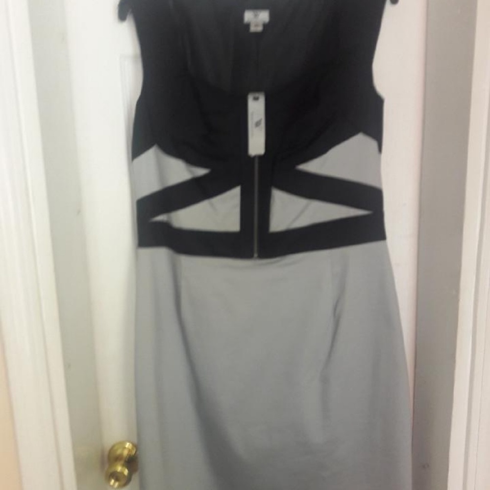 Gray & Black Dress